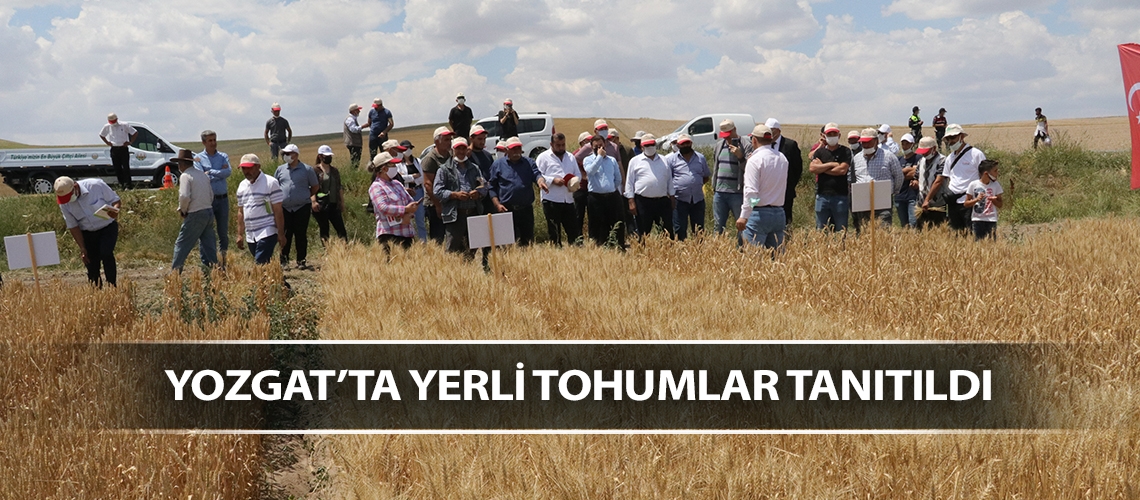 Yozgat’ta yerli tohumlar tanıtıldı