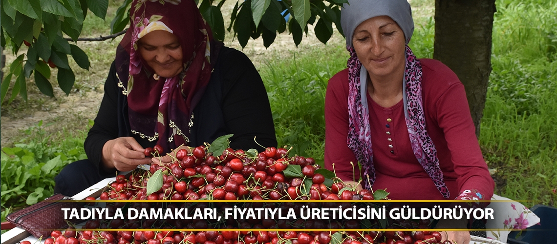 Tadıyla damakları, fiyatıyla üreticisini güldürüyor