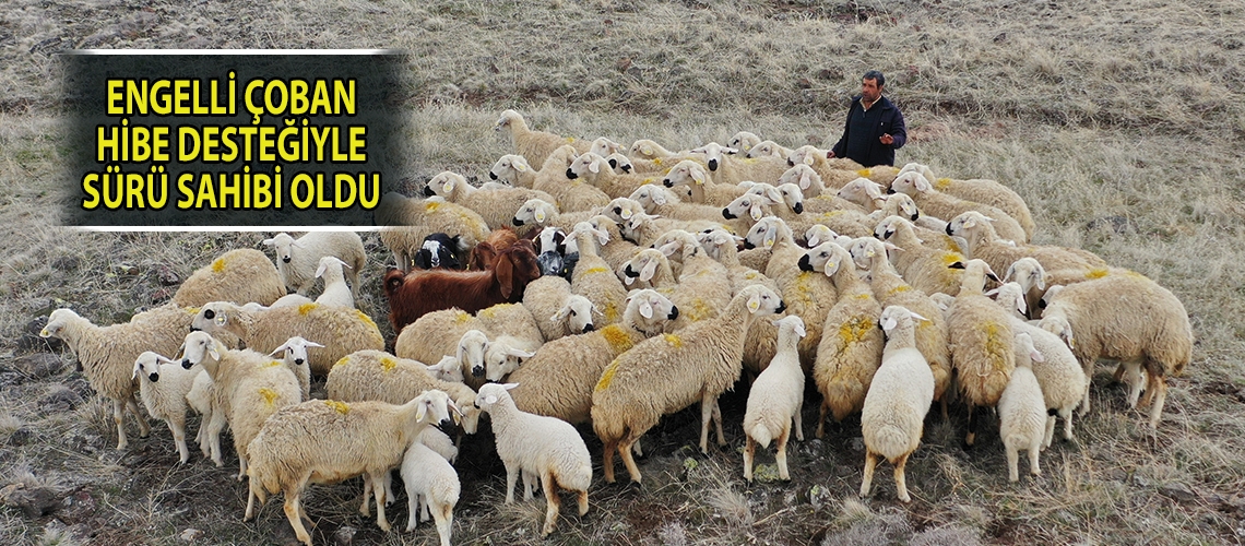 Engelli çoban hibe desteğiyle sürü sahibi oldu