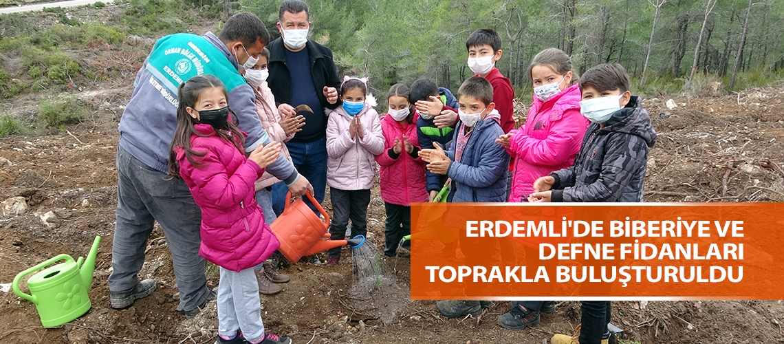 Erdemli'de biberiye ve defne fidanları toprakla buluşturuldu