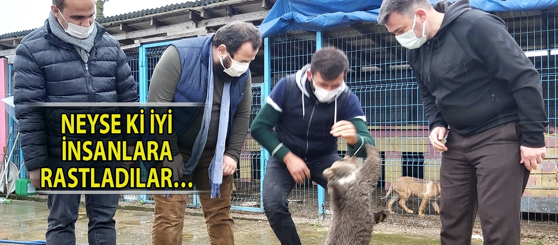 Neyse ki iyi insanlara rastladılar…