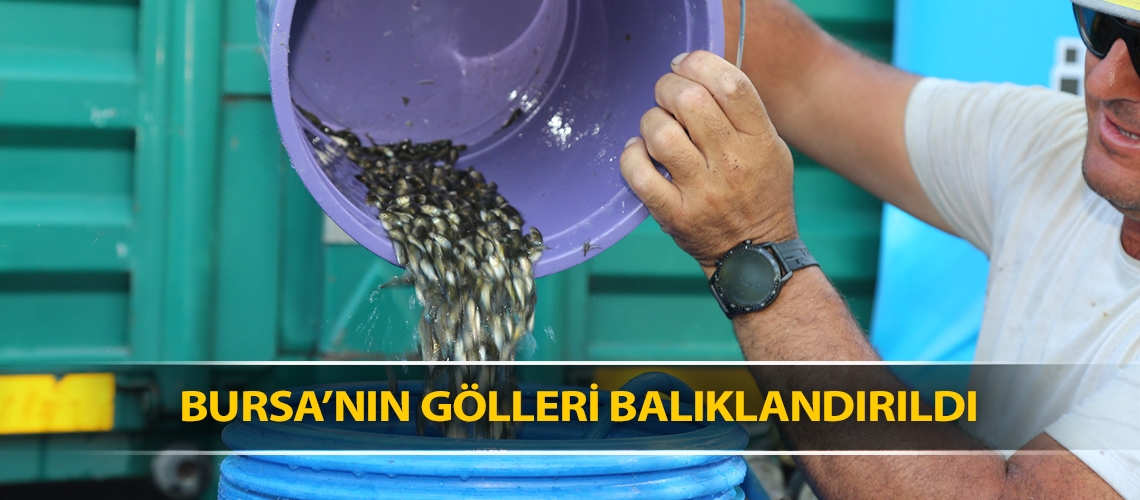 Bursa’nın gölleri balıklandırıldı