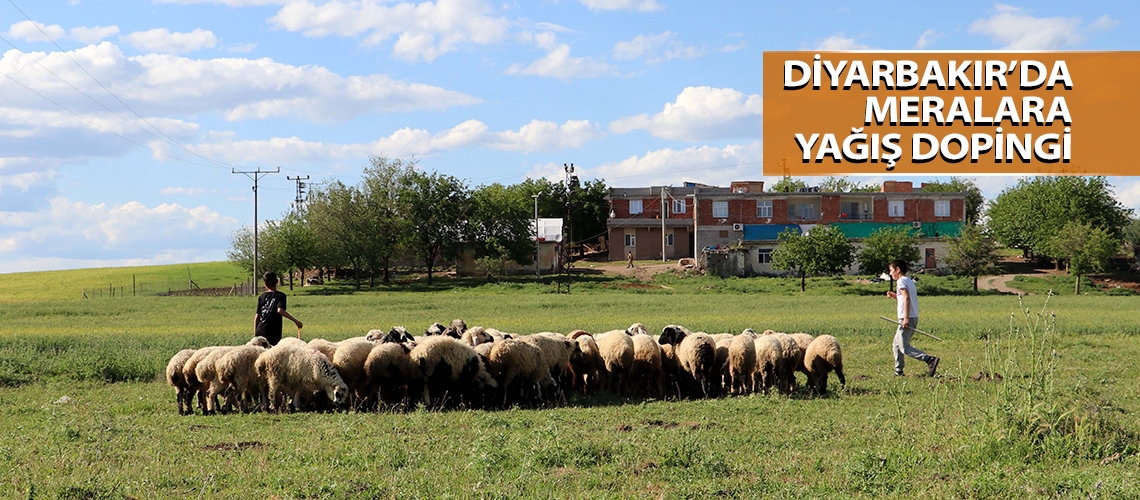 Diyarbakır’da meralara yağış dopingi