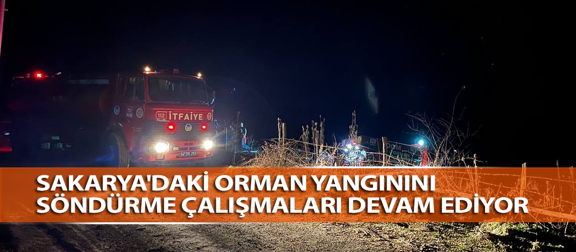 Sakarya'daki orman yangınını söndürme çalışmaları devam ediyor