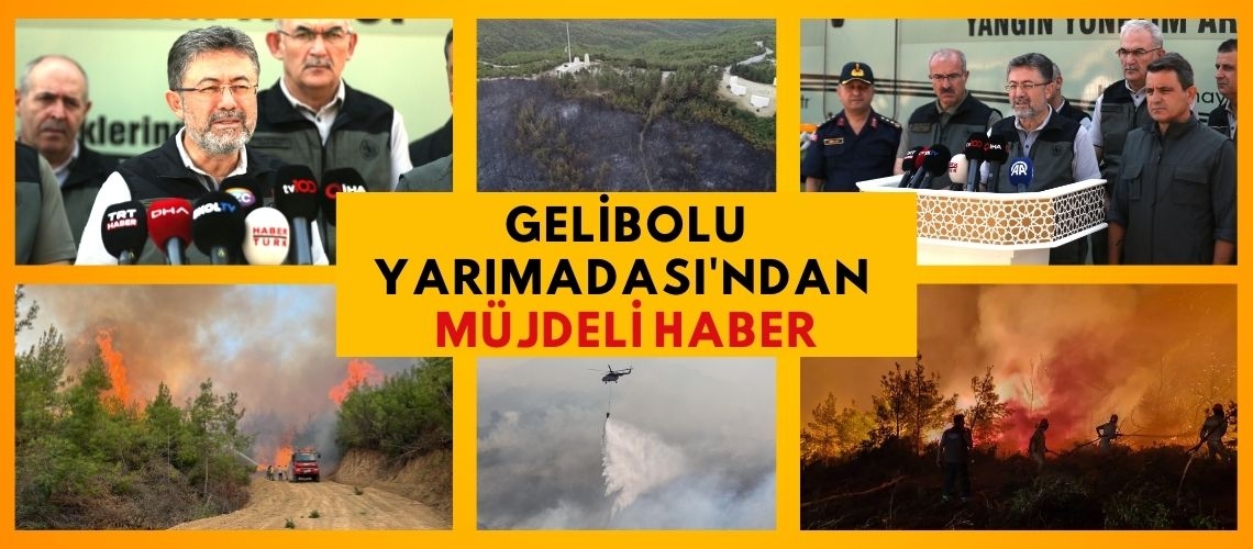 Gelibolu Yarımadası'ndan müjdeli haber