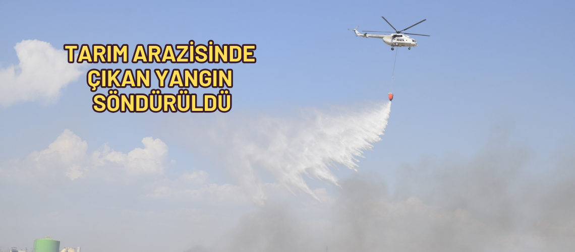 Tarım arazisinde çıkan yangın söndürüldü