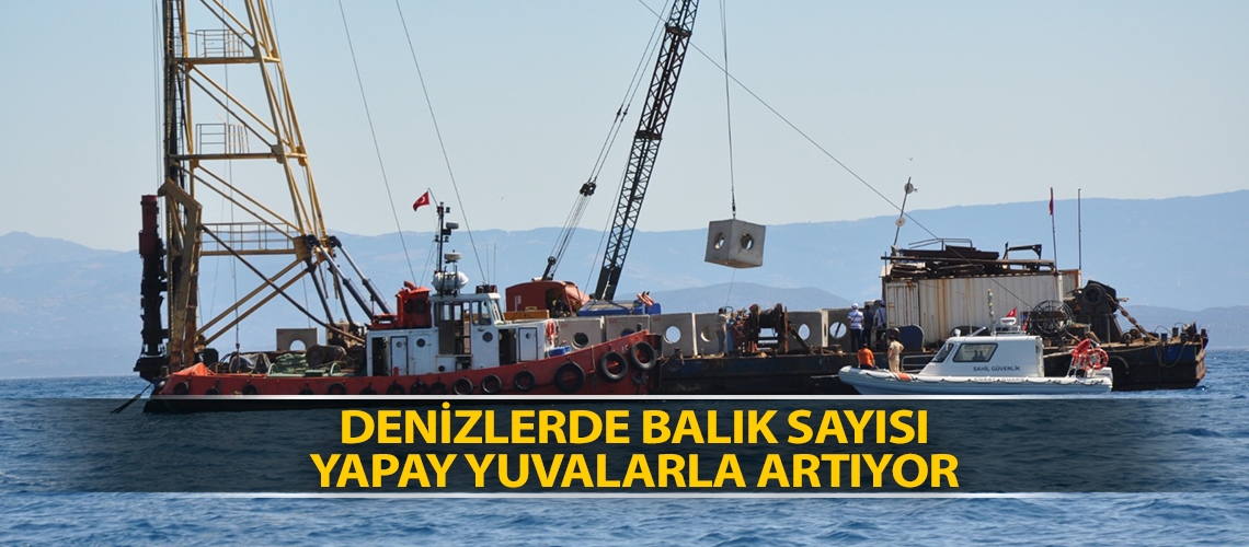 Denizlerde balık sayısı yapay yuvalarla artıyor