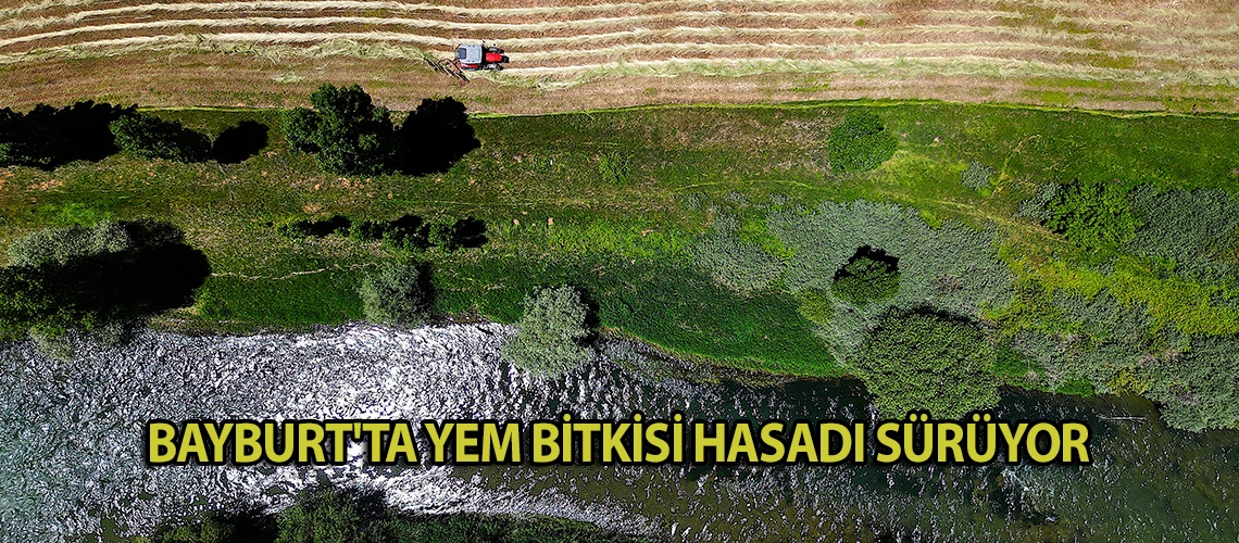 Bayburt'ta yem bitkisi hasadı sürüyor