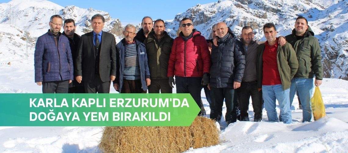 Karla kaplı Erzurum'da doğaya yem bırakıldı