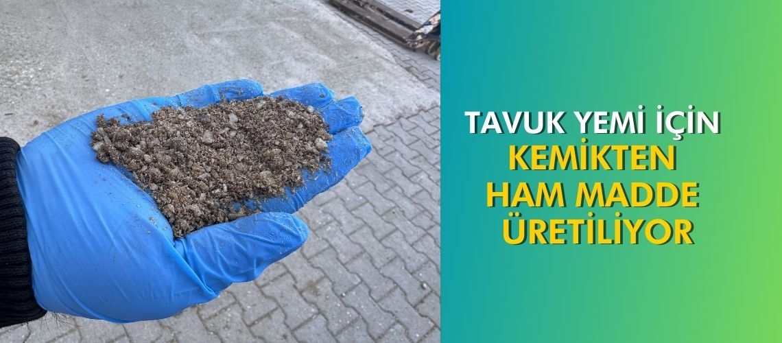 Tavuk yemi için kemikten ham madde üretiliyor