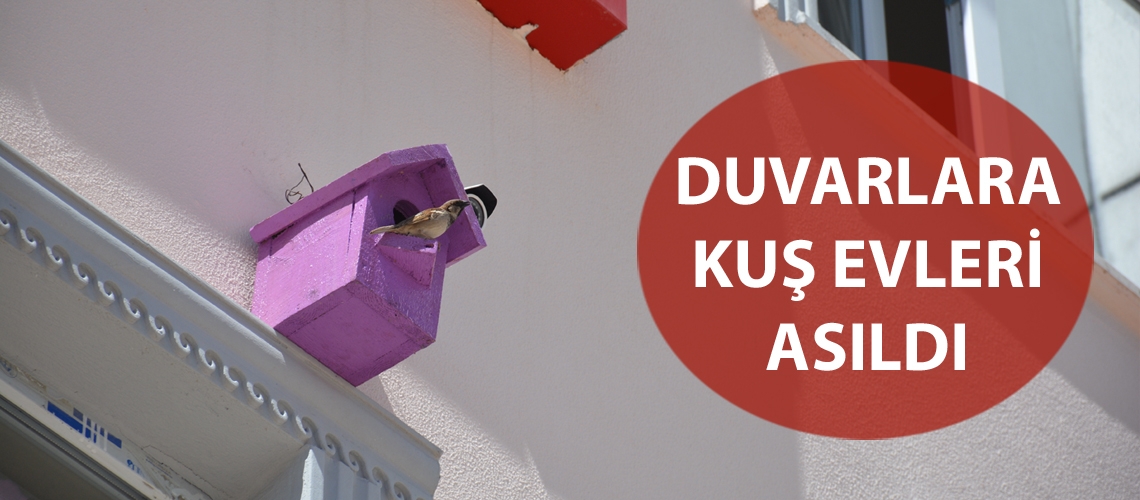 Duvarlara kuş evleri asıldı