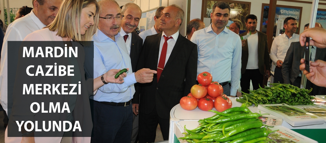 Mardin Tarım ve Hayvancılık Fuarı’na ilgi yoğun