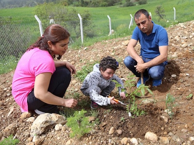 Ertuğrul’un hayalleri ceviz fidanlarında yaşıyor