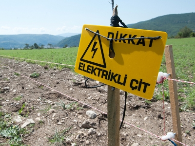 Yaban domuzuna karşı güneş enerjili çit