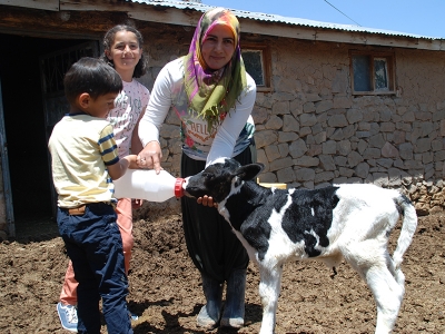 Ev hanımıydı besici oldu