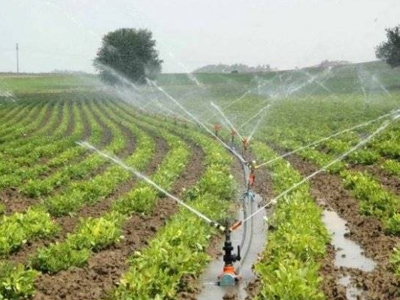 Tarıma dayalı ekonomik yatırım projelerine hibe desteği