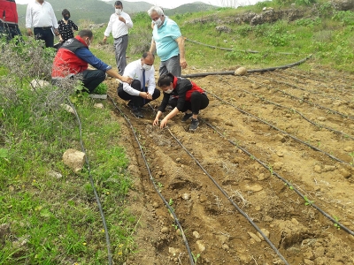 Hibe desteği tıbbi ve aromatik bitki üretimini arttırdı