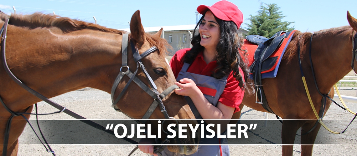 Elazığ’da kadın seyisler