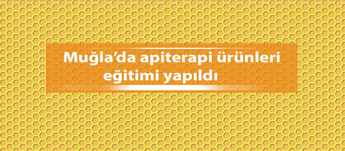 Muğla'da apiterapi ürünleri eğitimi yapıldı