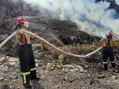 Yeşil vatan seferberliğinde herkes el ele