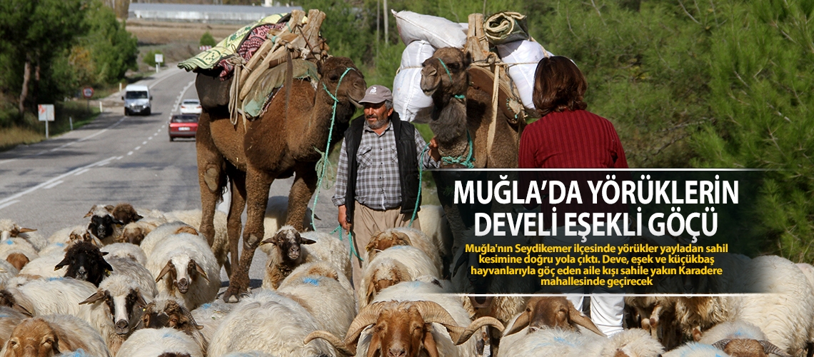 Muğla’da yörüklerin develi eşekli göçü