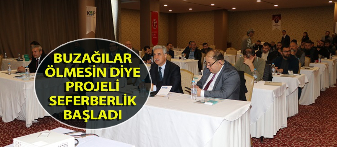 Buzağılar ölmesin diye projeli seferberlik başladı