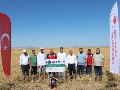 Yozgat’ta yeni nohut çeşitleri hasat edildi