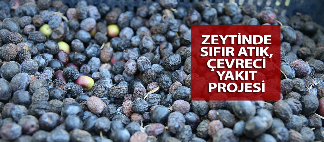 Zeytinde sıfır atık, çevreci yakıt projesi