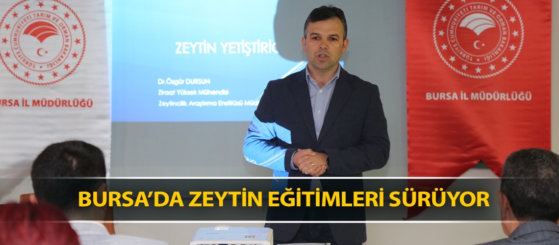 Bursa’da zeytin eğitimleri sürüyor