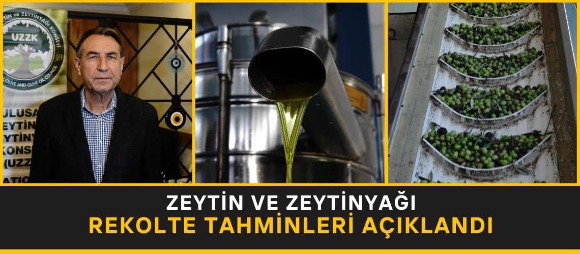 Zeytin ve zeytinyağı rekolte tahminleri açıklandı