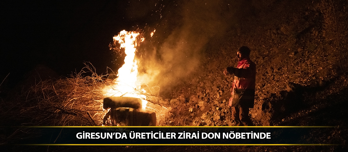 Giresun’da üreticiler zirai don nöbetinde