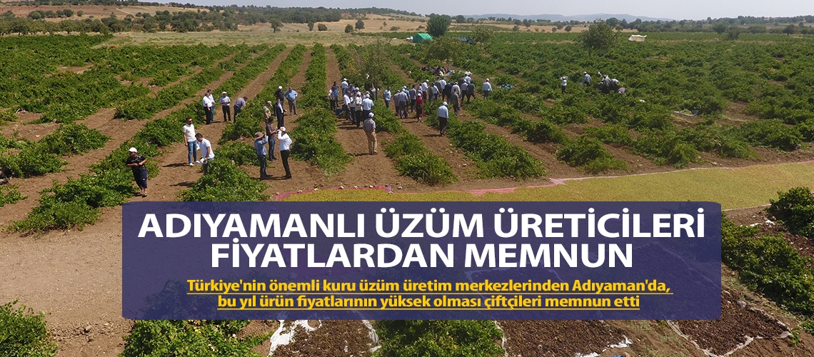 Adıyamanlı üzüm üreticileri fiyatlardan memnun